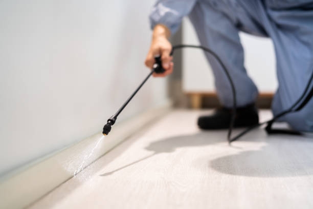 Licensed Cockroach Control service in McNary, AZ - Nex Pest Control