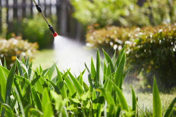 24/7 Emergency Cockroach Control experts in McNary, AZ