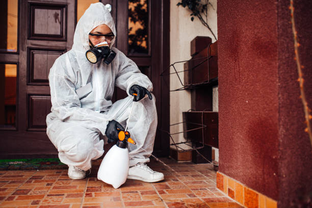 Reliable Cockroach Control contractor in McNary, AZ by Nex Pest Control